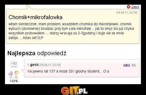 chomik