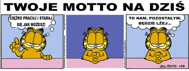 Twoje motto na dzi?