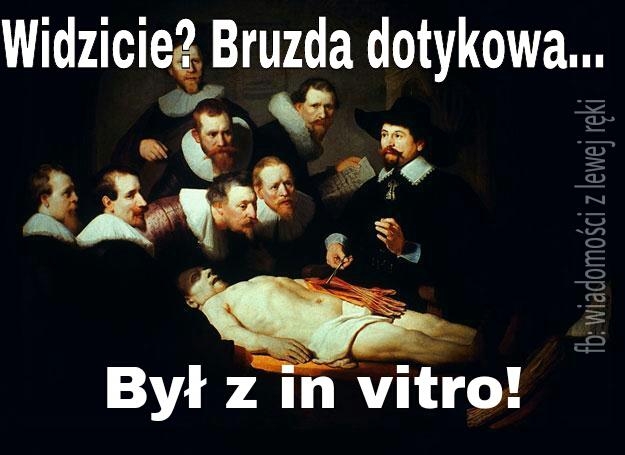 bruzda