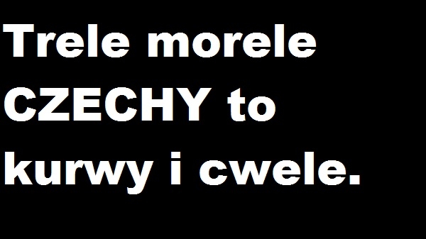 CZECHY