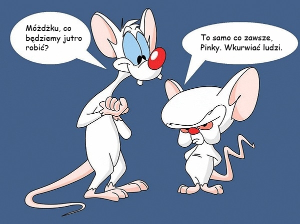 co bedziemy jutro robic