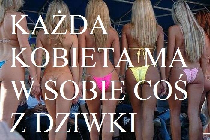 Ach te kobiety