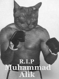 R.I.P