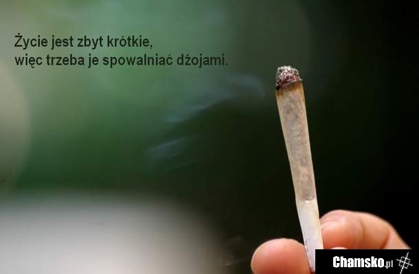 Joint