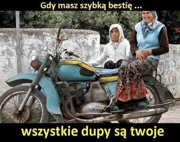 Szybka bestia