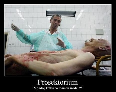 Prosektorium