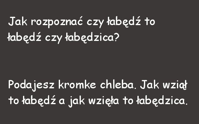 Zagadka