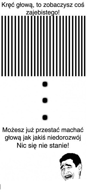kr?? g?ow? zobacz co sie stanie