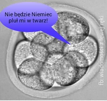 Gowin znów usłyszał krzyk zarodków