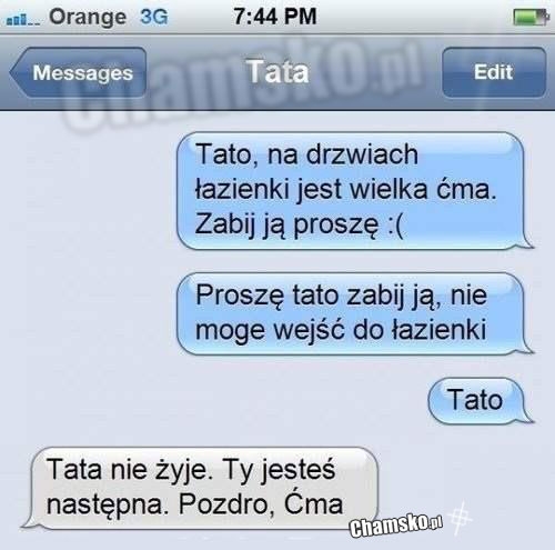Wielka ćma