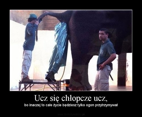 ucz si? ucz bo inaczej to...