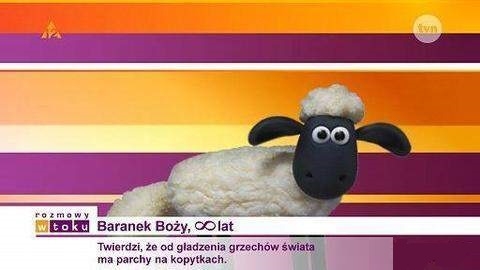 Baranek