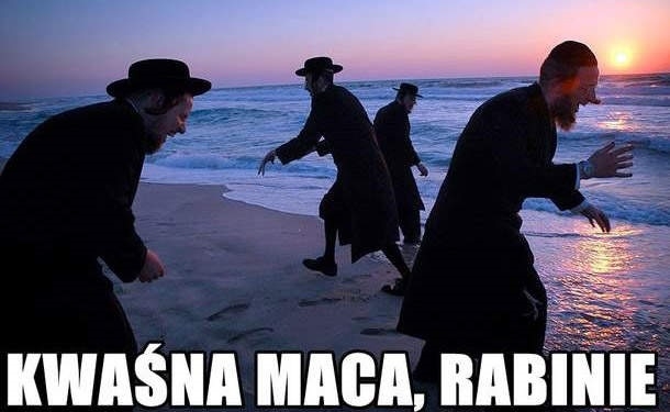 Maca