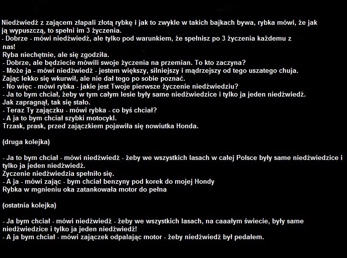 Zając niedźwiedź i złota rybka