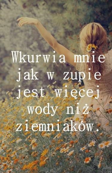 Zupa