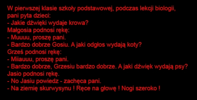 Psy