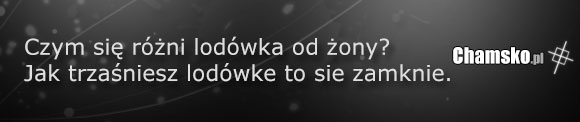 Czym się różni lodówka od żony?