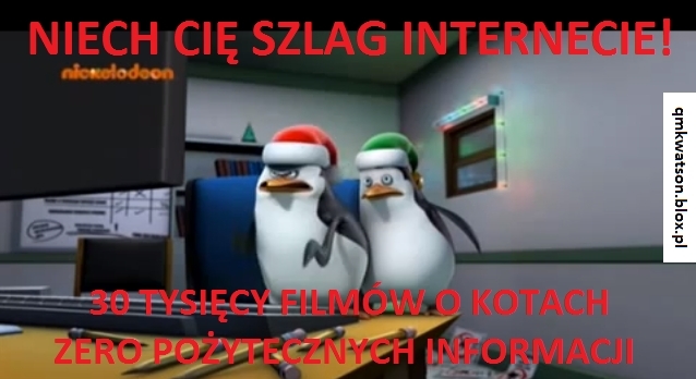 niech ci? szlag internecie! 30 tysi?cy filmów
