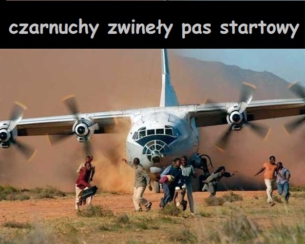 złodzieje