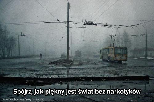 Spójrz jak piękny jest wiat bez narkotyków