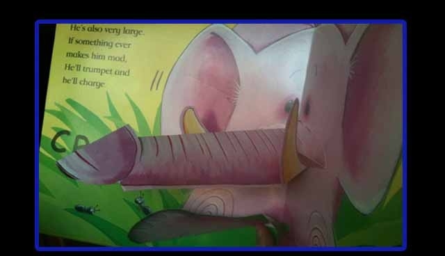 Chujotr?by s?onik jest smutny