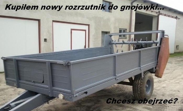 Chcesz ?
