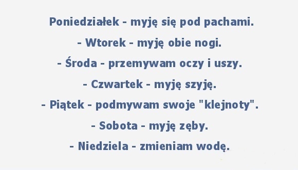 Pami?tnik czy?ciocha