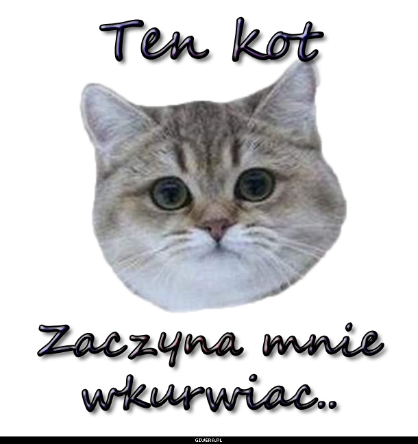Popacz