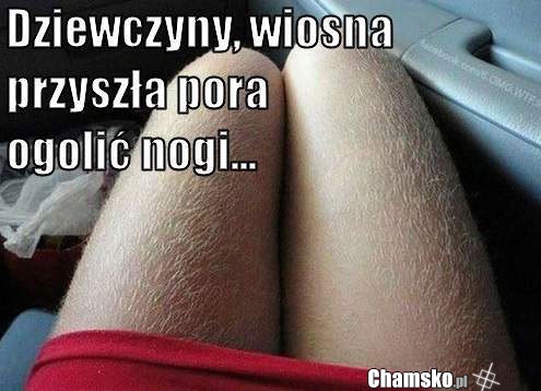 Już wiosna ogol nogi!