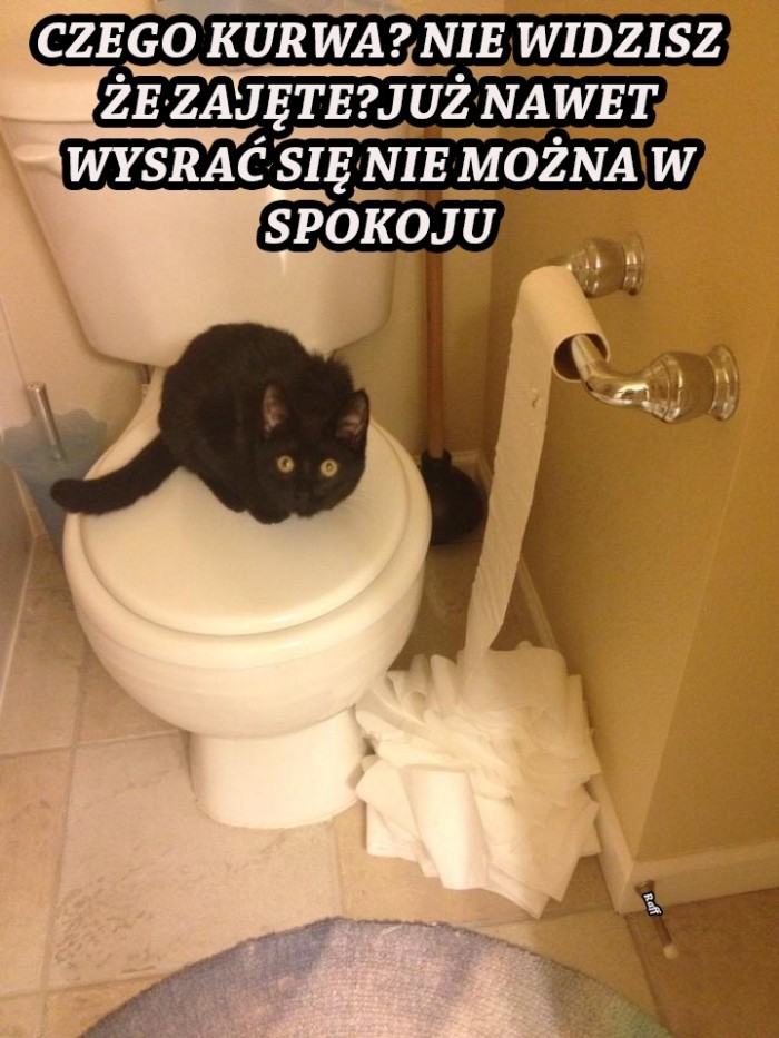 Czego?