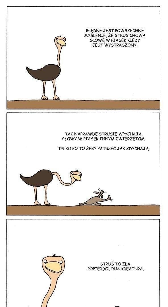 stru? skurwiel