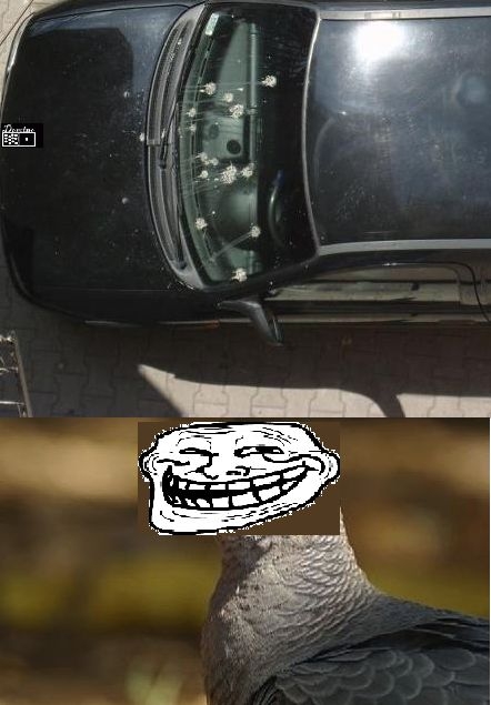 Psikus