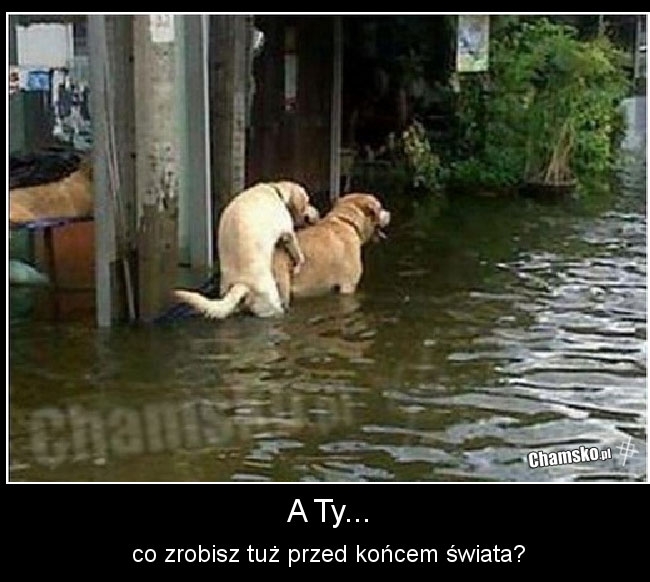 A Ty co zrobisz?