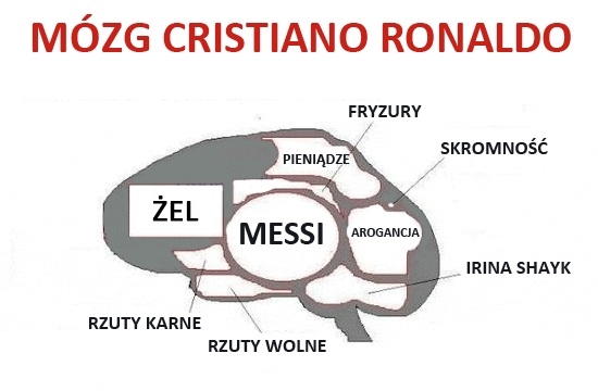 Mózg Cristiano