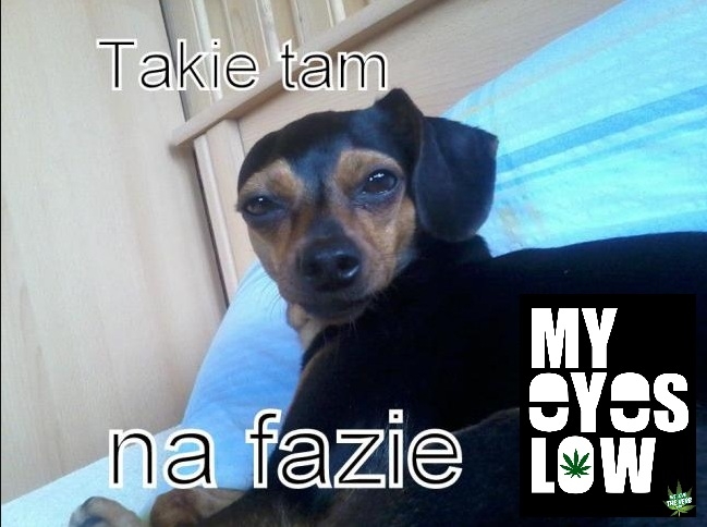 Zjarana Tosia