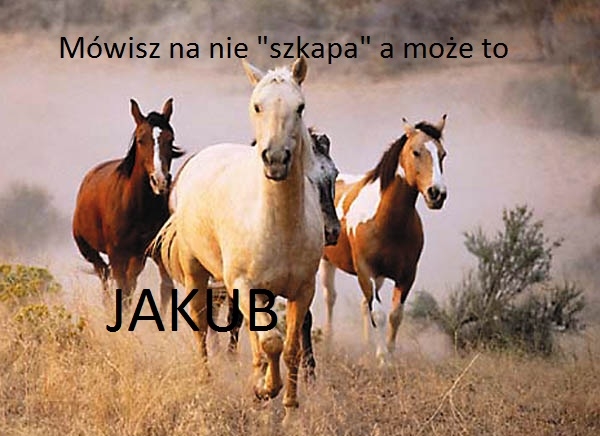 Jakub