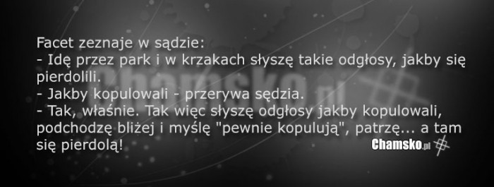 Zeznania w sądzie