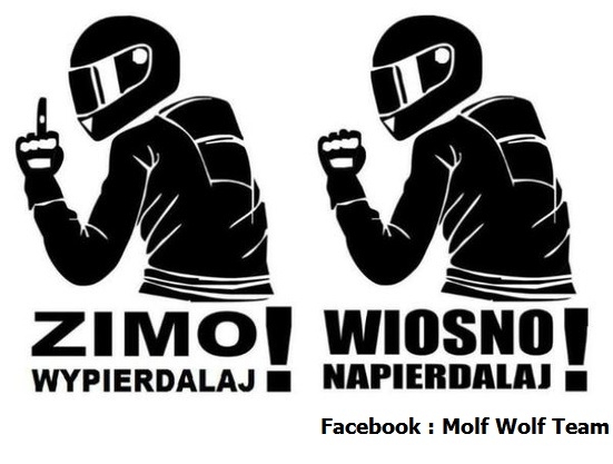 Zimo!