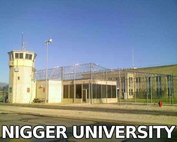 Uniwerek