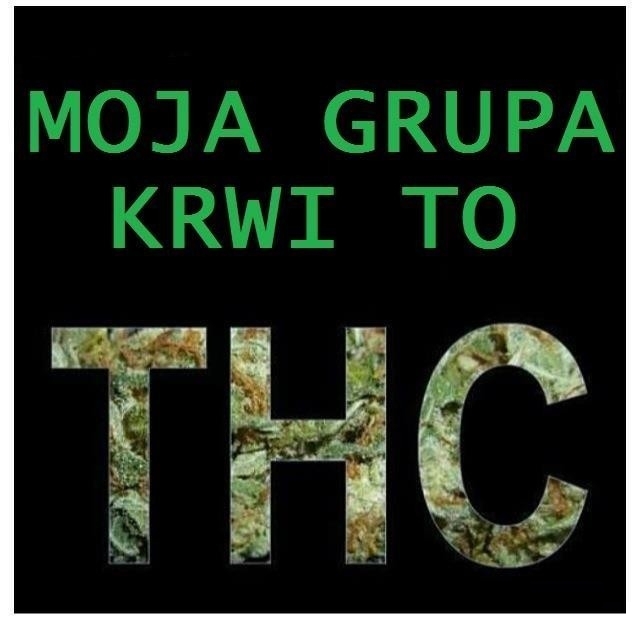Grupa krwi