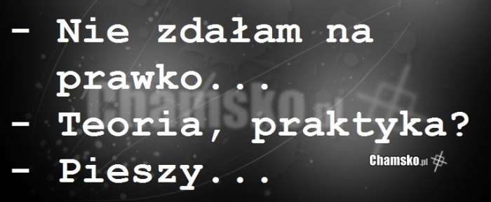 Kobieta za kółkiem