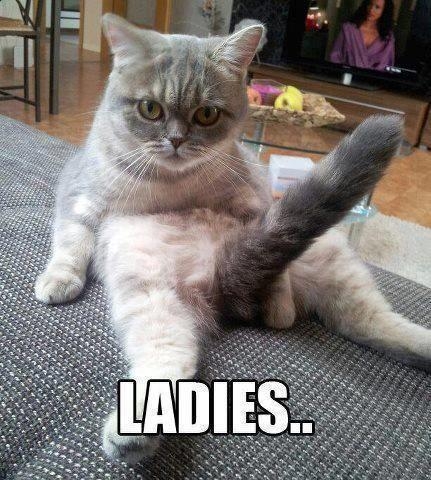 LADIES......