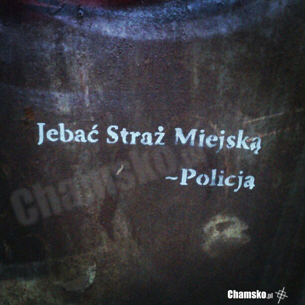 Nawet oni ich nie lubią...