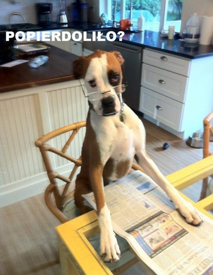 Popierdoliło?