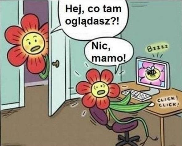 Ro?linny pornol