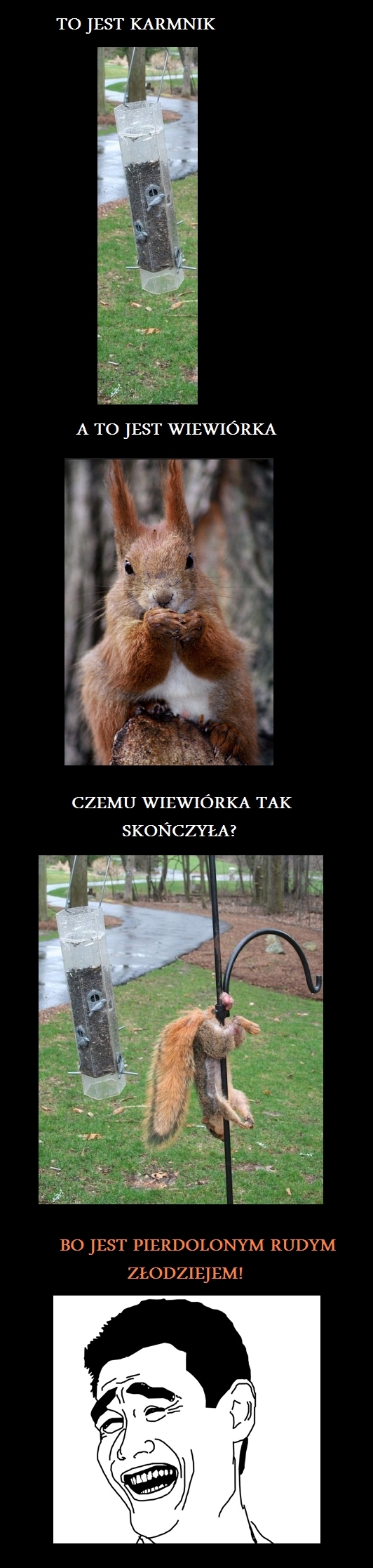 Chciwość rudego