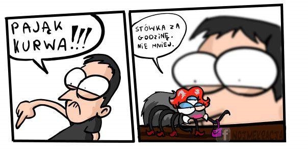 Pająk