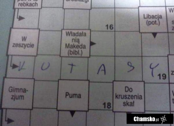 W zeszycie...