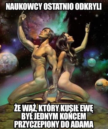 Wąż