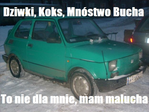 NIE DZIENKI